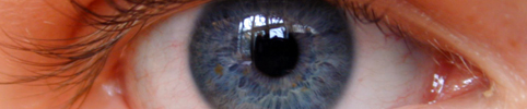 Oeil