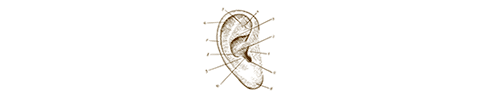 Instrument d'Ã©coute