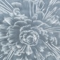Gary_Simmons___boom__1996_2003_13029
