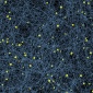 John_Maeda_cosmos_2003