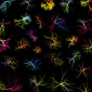 Marius_Watz_NeonTendrils_spread_2007