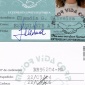 Minerva_Cuevas_free_id_card_1998