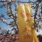 Falun_Dafa_is_good_banner_Heilongjiang_province_China