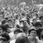 Woodstock Baby