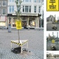 Friends_of_the_Earth_Illegal_Tree_Planting