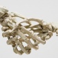 handshake_25