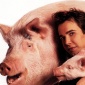 1988_1989_jeff_koons_flash_art_ad_1988_1989