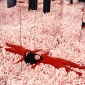 Yayoi_Kusama_01
