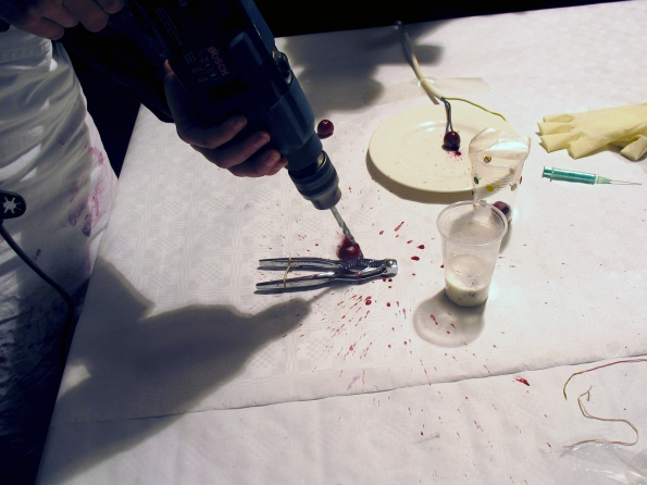 2009_Eva_Meyer_Keller_Death_is_Certain_2009_04