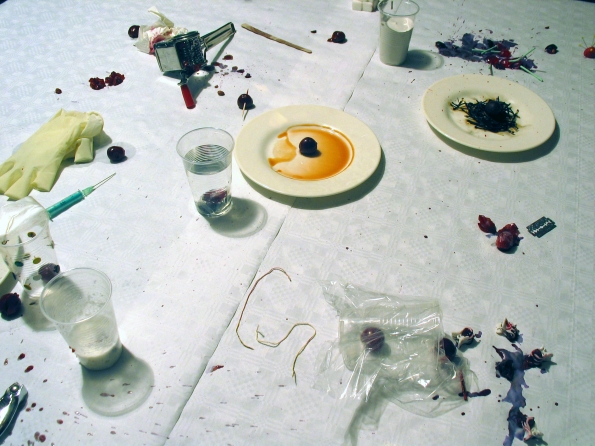 2009_Eva_Meyer_Keller_Death_is_Certain_2009_05