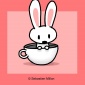 Sebastien_Millon_rabbit_in_a_teacup