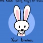 Sebastien_Millon_your_brains