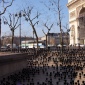 genevieve_gauckler_invasion_03
