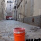 genevieve_gauckler_invasion_07