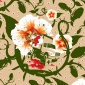 Craig_Redman_Hibiscus_war_01