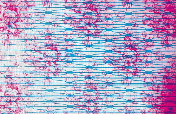 Lotta_Kuhlhorn_pink_flowers_with_blue_grid
