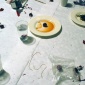2009_Eva_Meyer_Keller_Death_is_Certain_2009_05