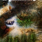 1967_hypgnosis_pink_floyd_a_saucerful._of_secrets_1967