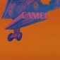 1967_victor_moscoso_sopwith_camel_1967