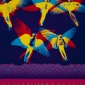 1969_victor_moscoso_steve_miller_promotional_poster_1969