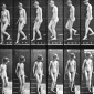 Eadweard_Muybridge_Animal_Locomotion_plate_137_ca_1887