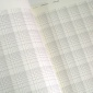 2009_Carsten_Nicolai_Grid_index_2009_02