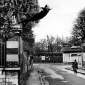 1960_Yves_Klein_Le_saut_dans_le_vide_1960