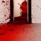 Anish_Kapoor_Shooting_into_the_Corner_2009_10