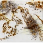 Cai_Guo-Qiang_16_2012_desire_zero_gravity