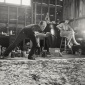 Jackson_Pollock_1950_by_Hans_Namuth_02