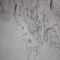 Naomi_Fitzsimmons_06