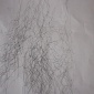 Naomi_Fitzsimmons_07