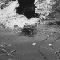 1971_Joseph_Beuys_Bog_Action_1971