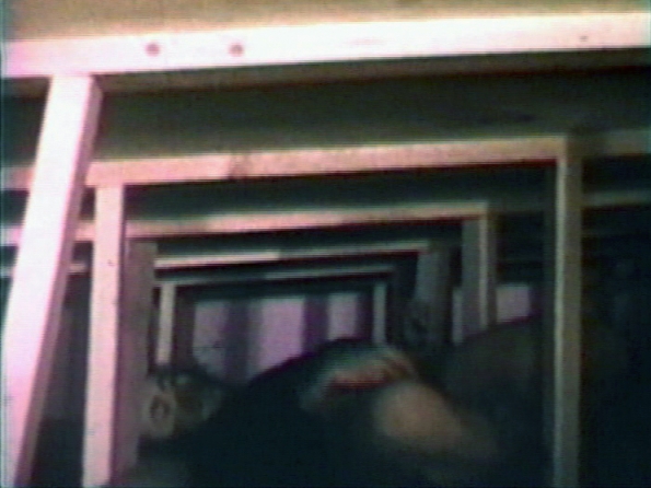 1971_Vito_Acconci_Seedbed_1971
