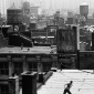 1973_Trisha_Brown_Roof_Piece_1973