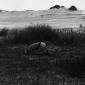 1973_Valie_Export_Body_configurations_1973_02