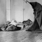 1974_Joseph_Beuys_I_Like_America_and_America_Likes_Me_1974