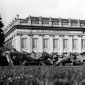 1982_Joseph_Beuys_7000_Eichen_–_Stadtverwaldung_statt_Stadtverwaltung_1982_03