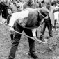 1984_Joseph_Beuys_7000_Oaks_1984_01
