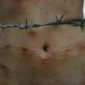 2000_Sigalit_Landau_Barbed_Hula_2000_02