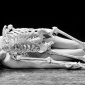 2002_2005_Marina_Abramovic_Nude_with_Skeleton_2002_2005