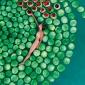 2004_Sigalit_Landau_Dead_Sea_video_still_2004