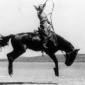1919_Kitty_Canutt_Champion_lady_rider_of_the_world_on_Winnemucca_circa_1919