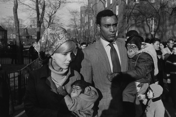 1967_Garry_Winogrand_Central_Park_Zoo_NYC_1967