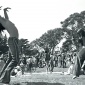 Robert Altman : Dancers in GG Park (1969)
