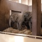 1990_Candida_Höfer_Zoologische_Gärten_Hamburg_I_1990