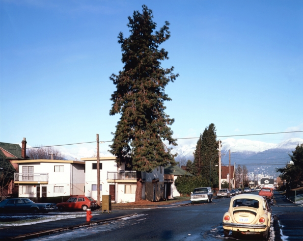 1990_Jeff Wall_The_Pine_on_the_Corner_1990