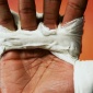 2006_Andres_Serrano_Floyd_Mayweather_Jr_serie_Hands_2006