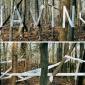2004_Stefan_Sagmeister_Art_Grandeur_Nature_01_01_Having_2004