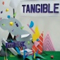 2009_Julien_Vallee_Tangible_cover_2009
